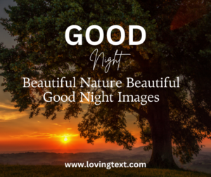 Beautiful-Nature-Beautiful-Good-Night-Images