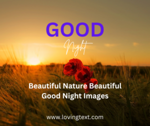beautiful-nature-beautiful-good-night-images