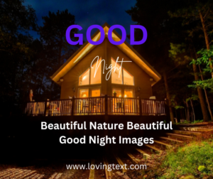 beautiful-nature-beautiful-good-night-images