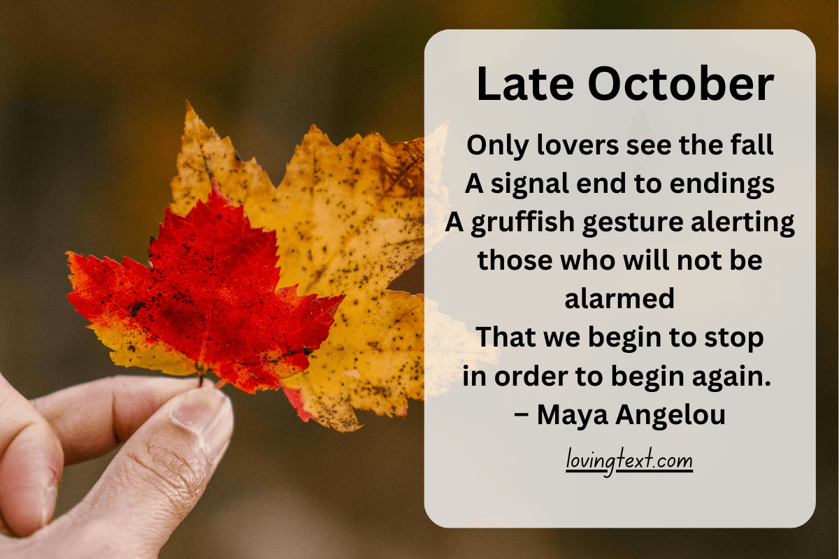 Fall Poems To Celebrate