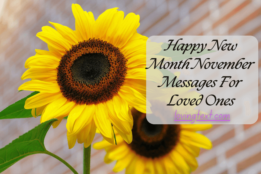 Happy New Month November Messages For Loved Ones