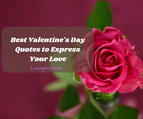 180 Best Valentine's Day Quotes to Express Your Love