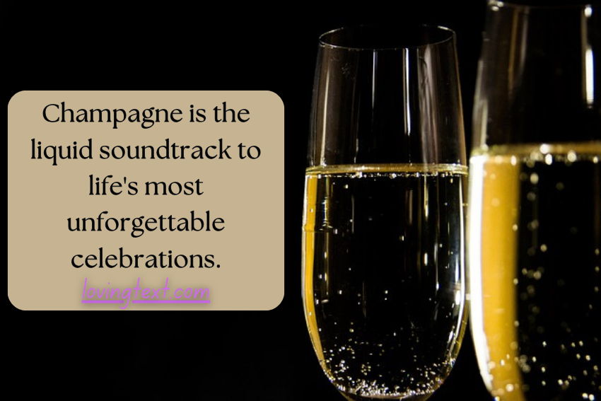 Champagne Quotes About Special Drinking Occasions