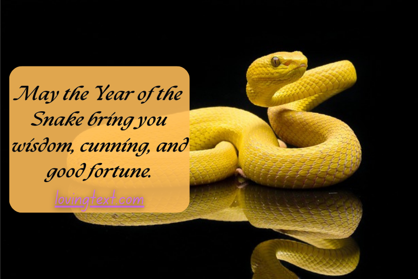 Chinese New Year Wishes for the Year of the Snake (蛇)