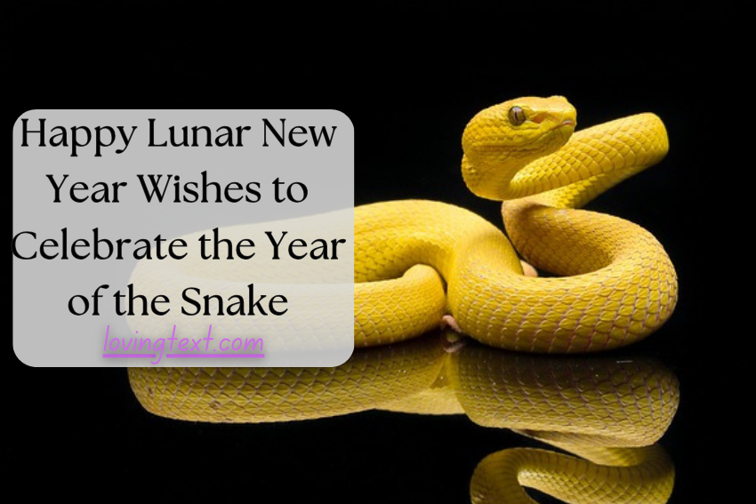 Happy Lunar New Year Wishes to Celebrate the Year of the Snake