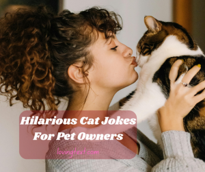 86 Purrfectly Hilarious Cat Jokes for Kitten Around