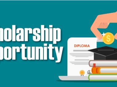 Scholarship Opportunities for Undergraduate